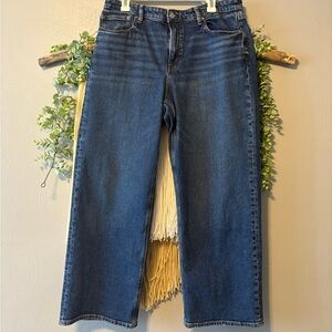 American Eagle Outfitters Dark Blue Stovepipe Jeans